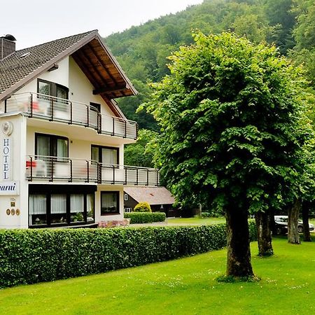 Harz Hotel Iris Sieber Esterno foto