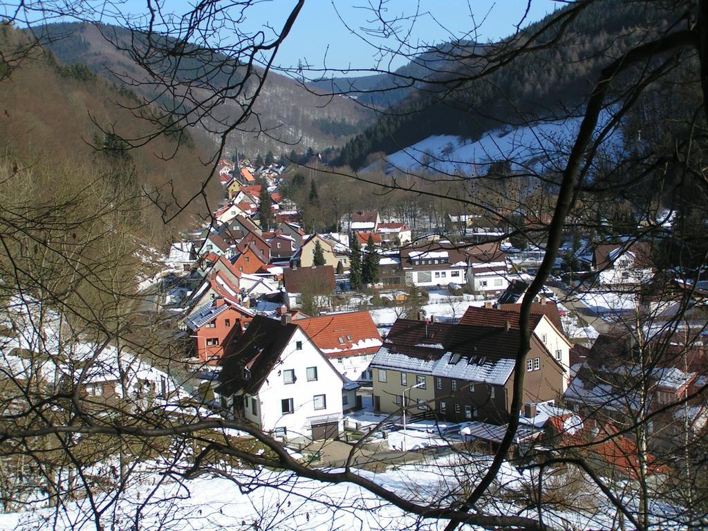 Harz Hotel Iris Sieber Esterno foto