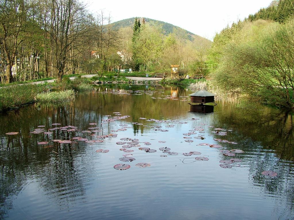 Harz Hotel Iris Sieber Esterno foto