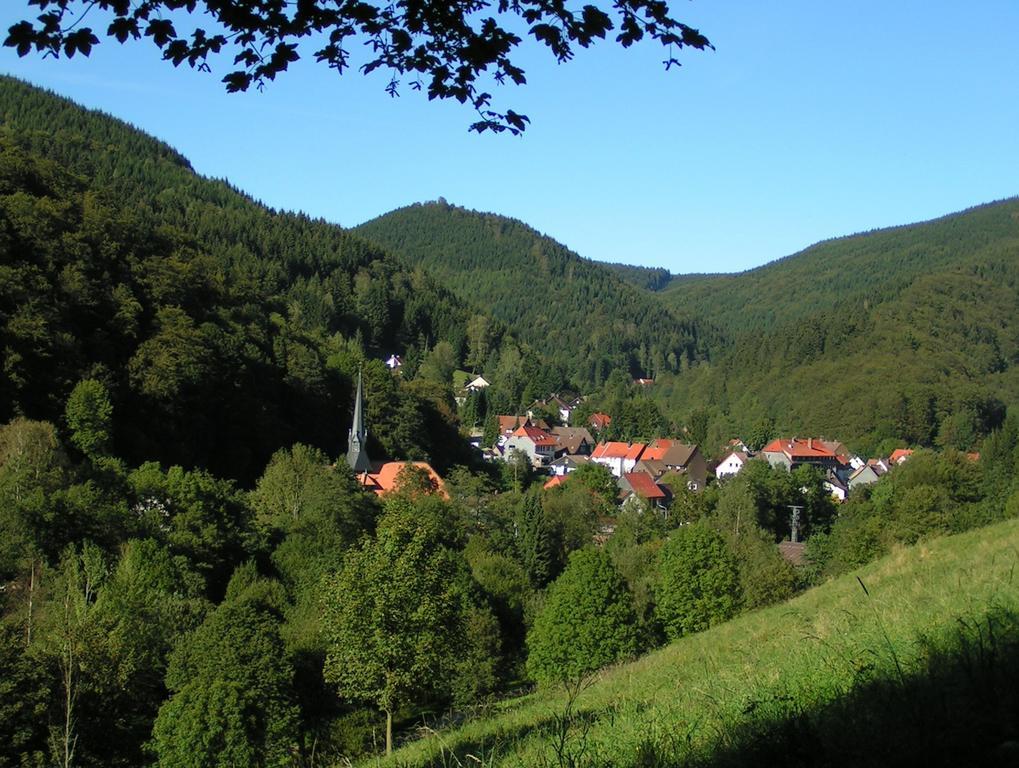 Harz Hotel Iris Sieber Esterno foto