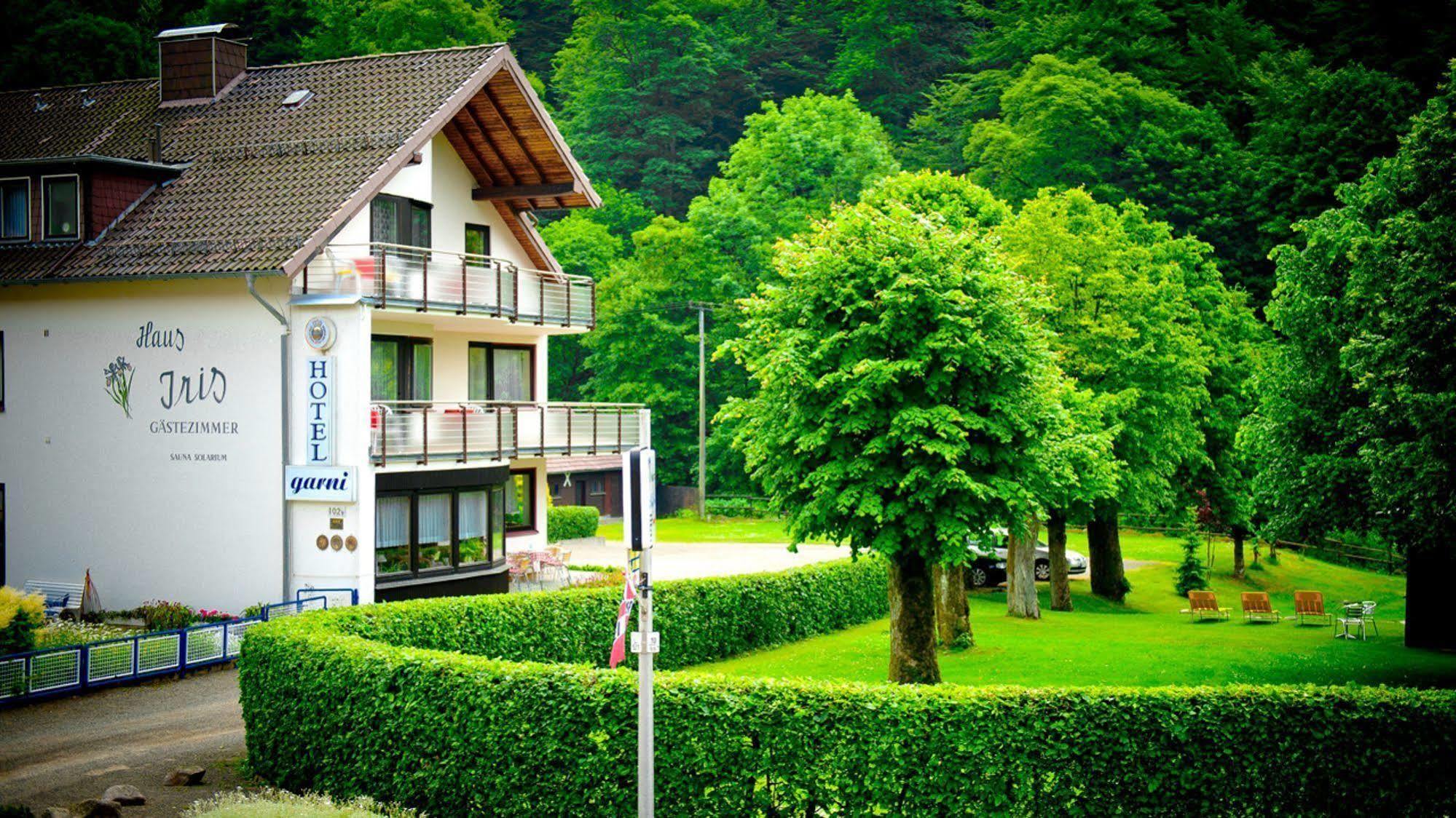 Harz Hotel Iris Sieber Esterno foto